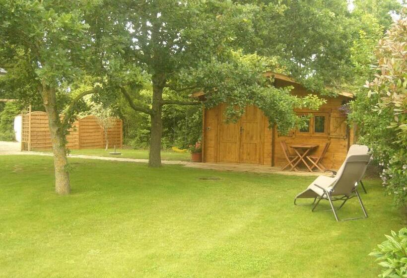 غرفة قياسية, L Oisette