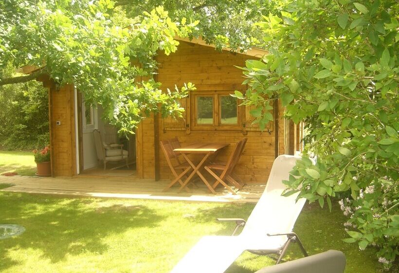 غرفة قياسية, L Oisette