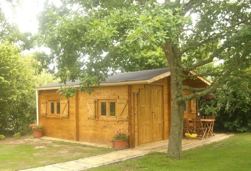 غرفة قياسية, L Oisette