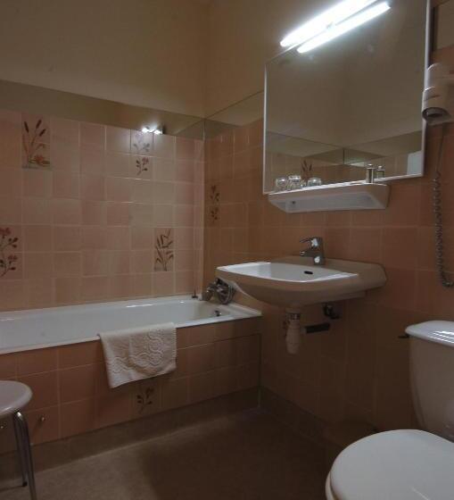 غرفة قياسية مطلة على المدينة, Hôtel Du Lion D'or