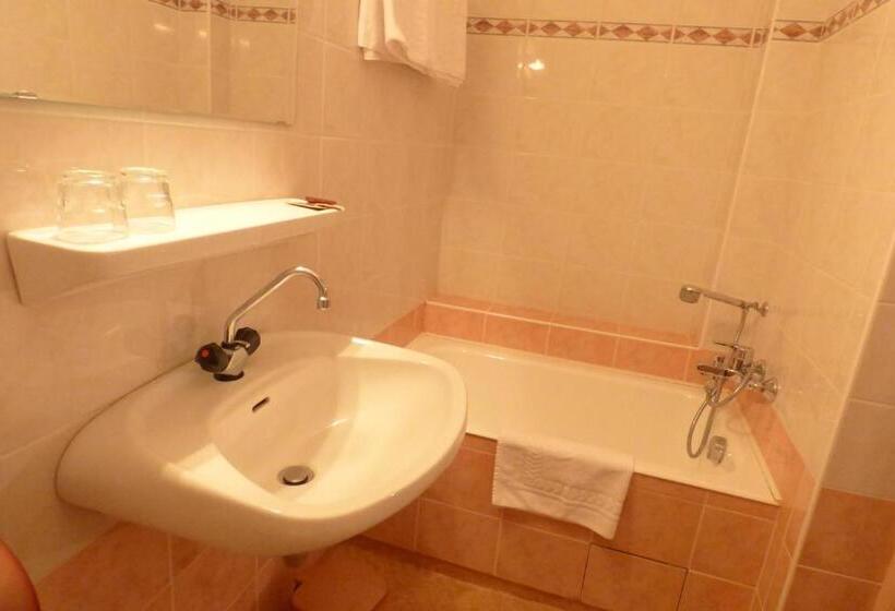 غرفة إقتصادية, Hôtel Du Lion D'or