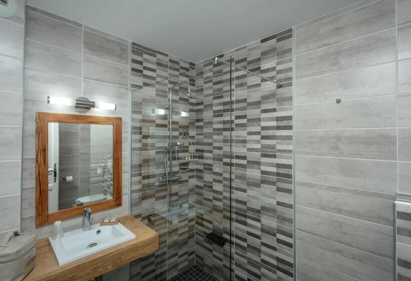 标准间带游泳池, Le Saintgenies