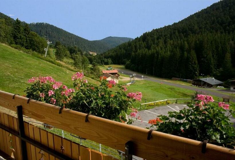 غرفة قياسية, Hôtel Le Vétiné