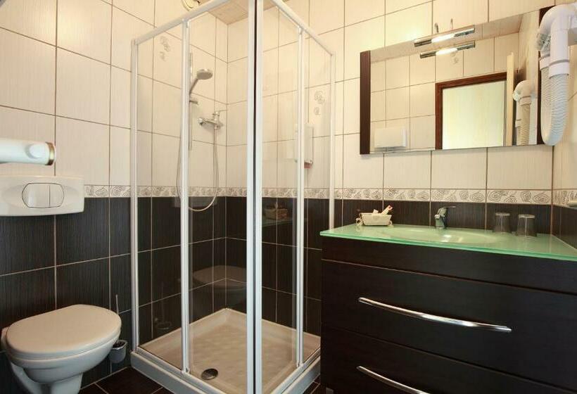 Номер Стандарт, Hôtel Le Vétiné