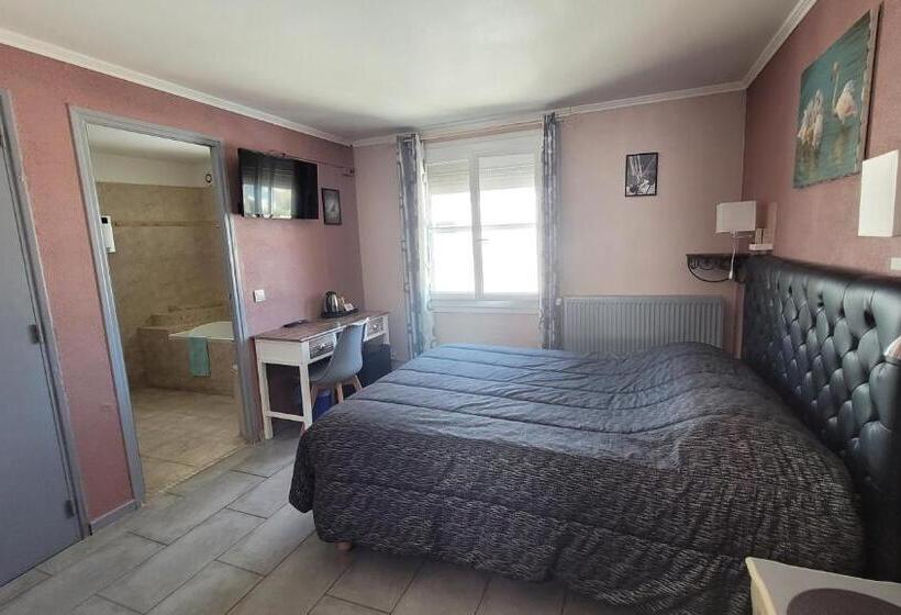 带观景的标准间, Hôtel Le Dauphin Bleu