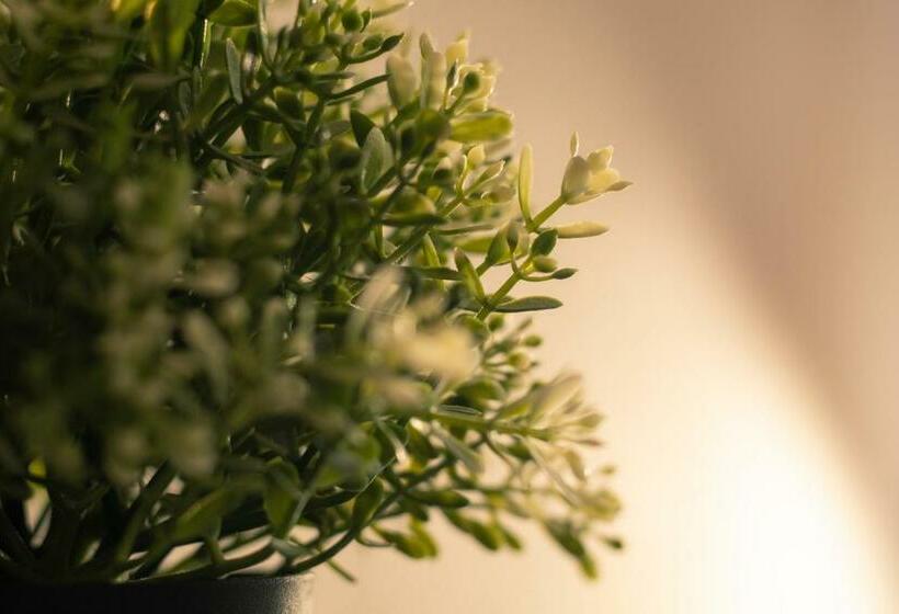 스탠다드 룸, Le President Gare Nimes Pont Du Gard