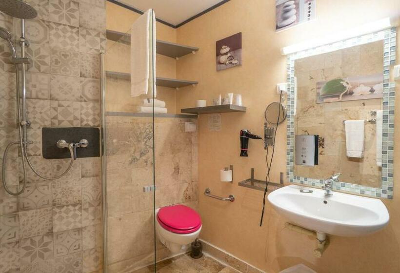 חדר סטנדרט, Le President Gare Nimes Pont Du Gard