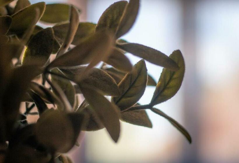 חדר סטנדרט לשלושה, Le President Gare Nimes Pont Du Gard