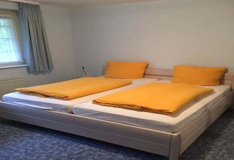 דירת שני חדרים, Carlsruh