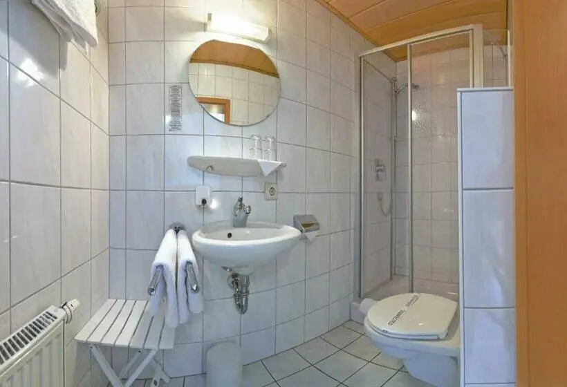 Standard Yhden Hengen Huone, Und Restaurant Adler