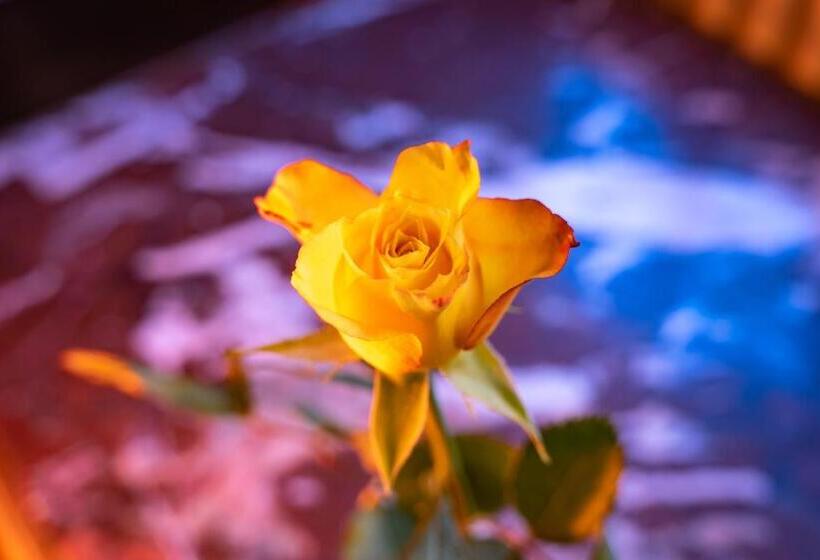 חדר סטנדרט, Haase