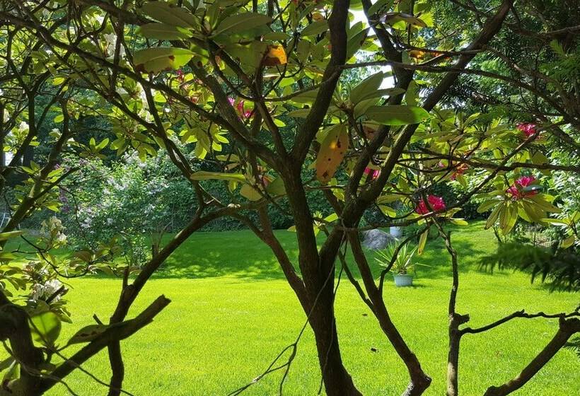 스탠다드 룸, Haus Waldheim