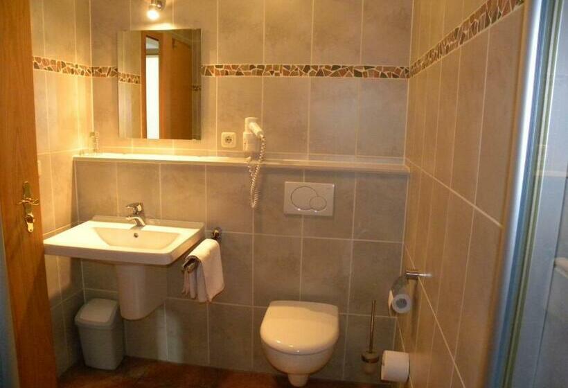 غرفة قياسية فردية, Thüringer Hof