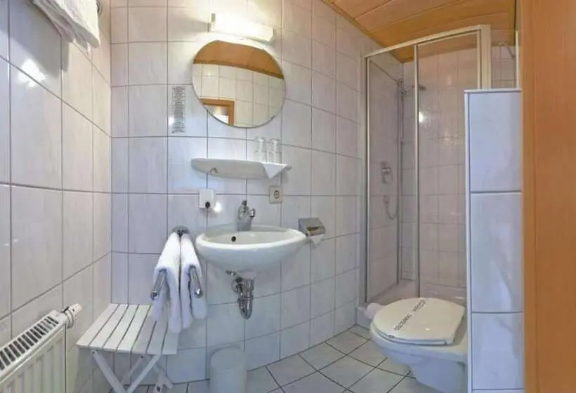 Standard Yhden Hengen Huone, Und Restaurant Adler