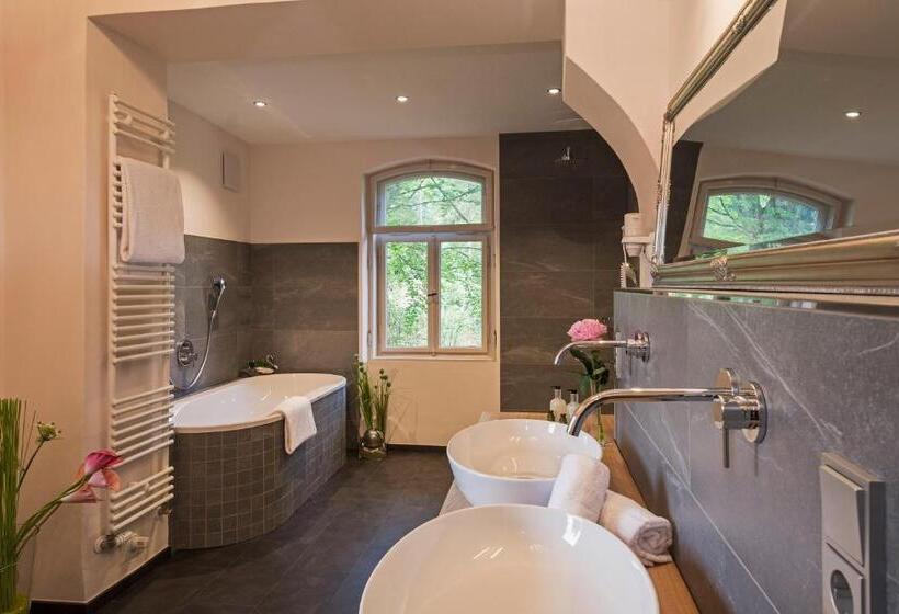シャレー・スペリアー1寝室, Villa Ludwig