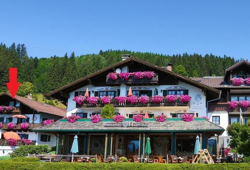 شقة ديلوكس غرفة نوم واحدة, Seehotel Hartung & Ferienappartements