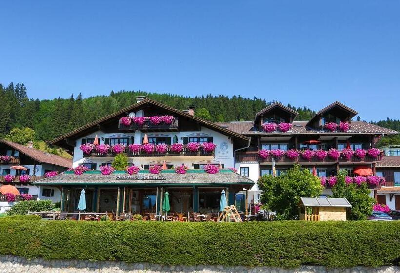 Апартаменты 1 Спальня, Seehotel Hartung & Ferienappartements