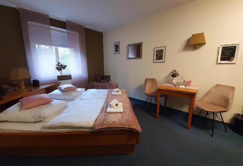 스탠다드 룸, Waldhotel Surwold