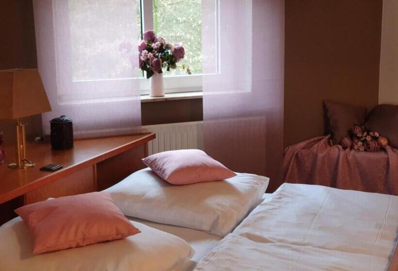 스탠다드 싱글 룸, Waldhotel Surwold