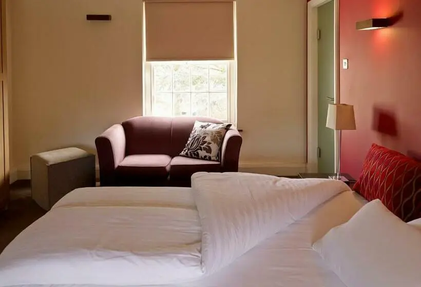 Habitació Estàndard, Cini