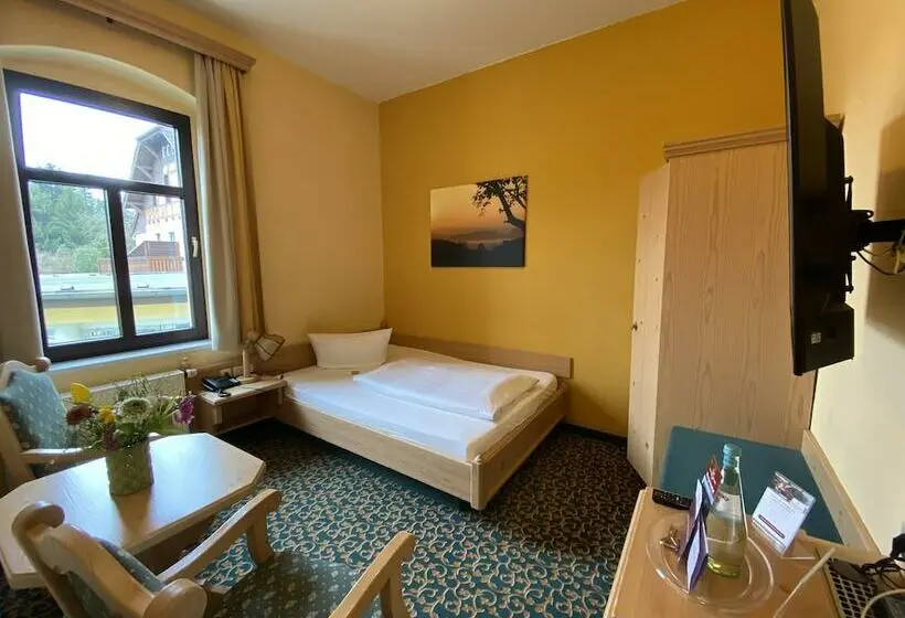 Standard Yhden Hengen Huone, Parkhotel Margaretenhof