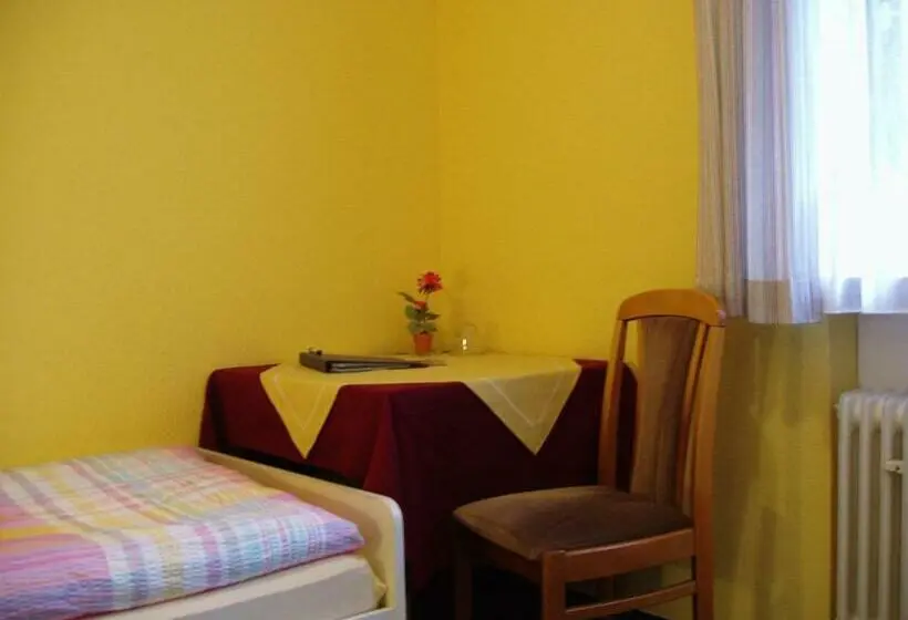 Standard Yhden Hengen Huone, Pension Alfa