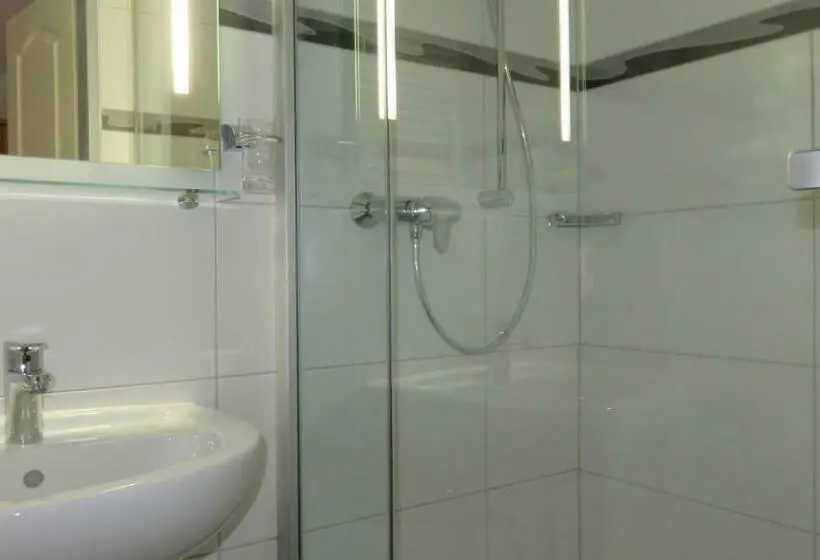 Standard-huone, Pension Alfa