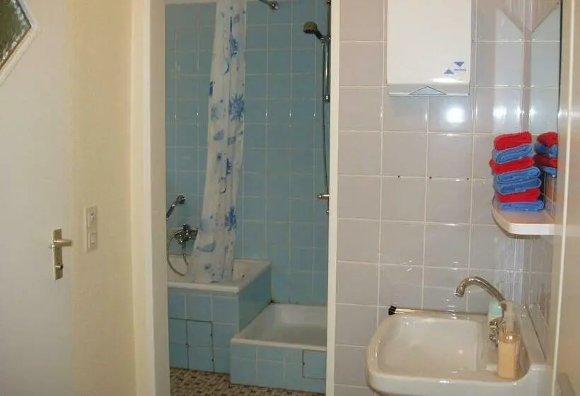 Standard Yhden Hengen Huone, Pension Alfa