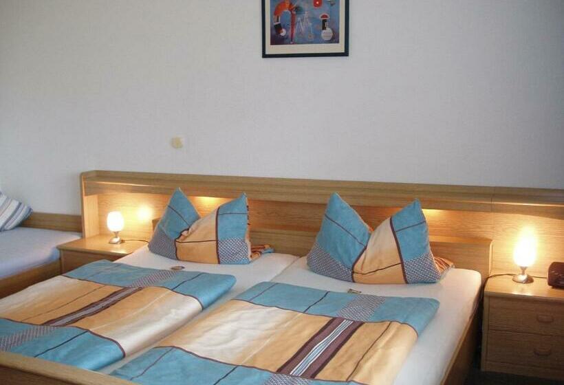 اتاق استاندارد سه نفره, Pension Alfa