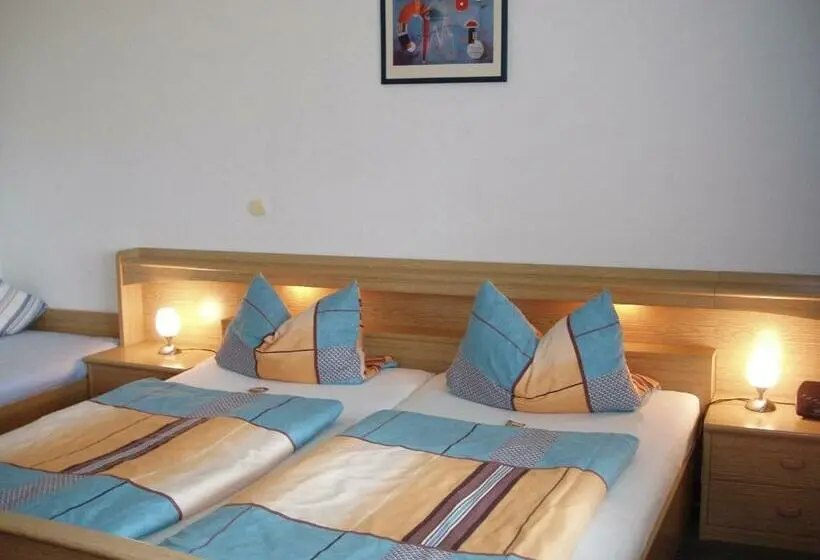 Standard Kolmen Hengen Huone, Pension Alfa