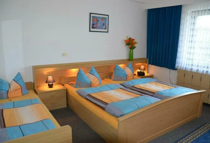 Standard Kolmen Hengen Huone, Pension Alfa