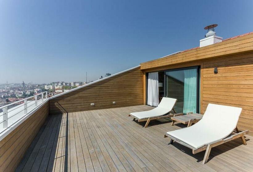 テラス付スイート, Room Mate Emir