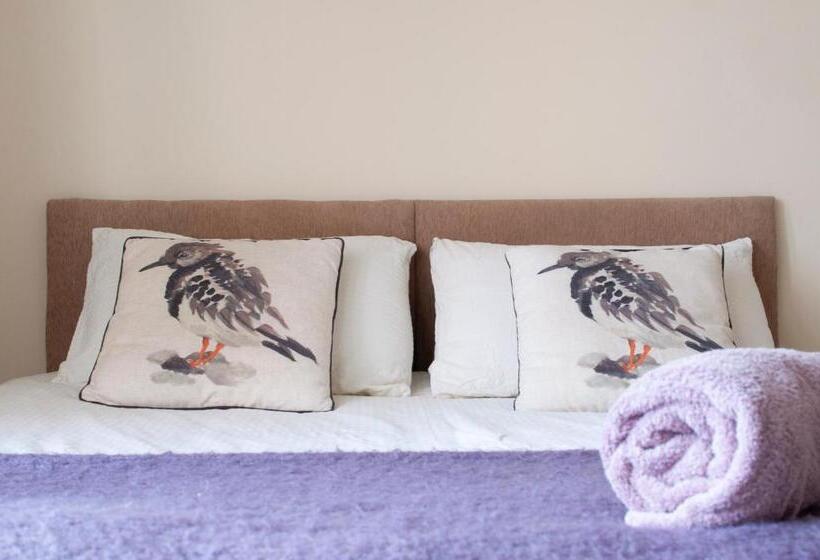 Номер Стандарт Вид на Море, Murray Library Hostel