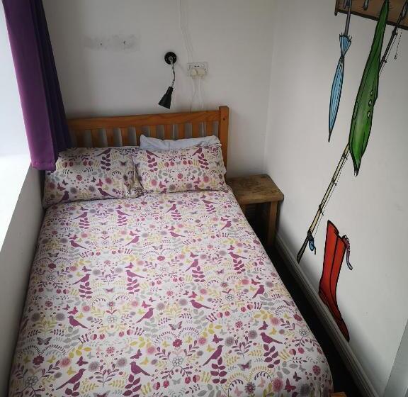 Номер Basic, Igloo Hybrid