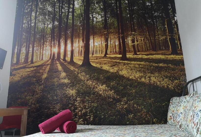 Номер Стандарт, Igloo Hybrid