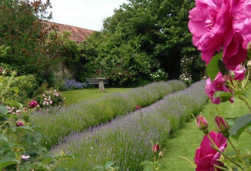 高级大房间, The Old House