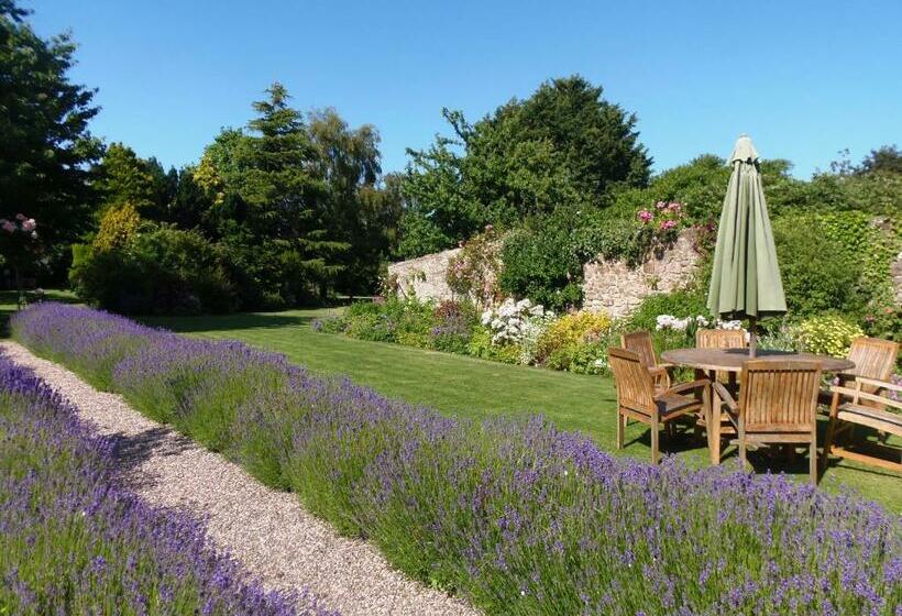 غرفة سوبيريور, The Old House