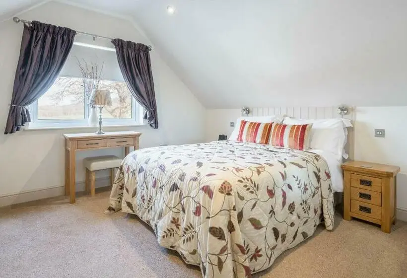 コンフォートルーム, Canaston Oaks