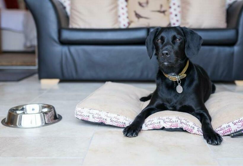 テラス付きジュニアスイート, Canaston Oaks