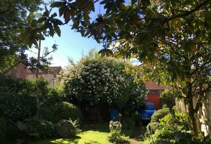 Cameră Standard, Square Tree House