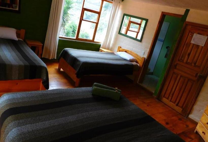 Standard Kolmen Hengen Huone, La Casa Verde Eco Guest House