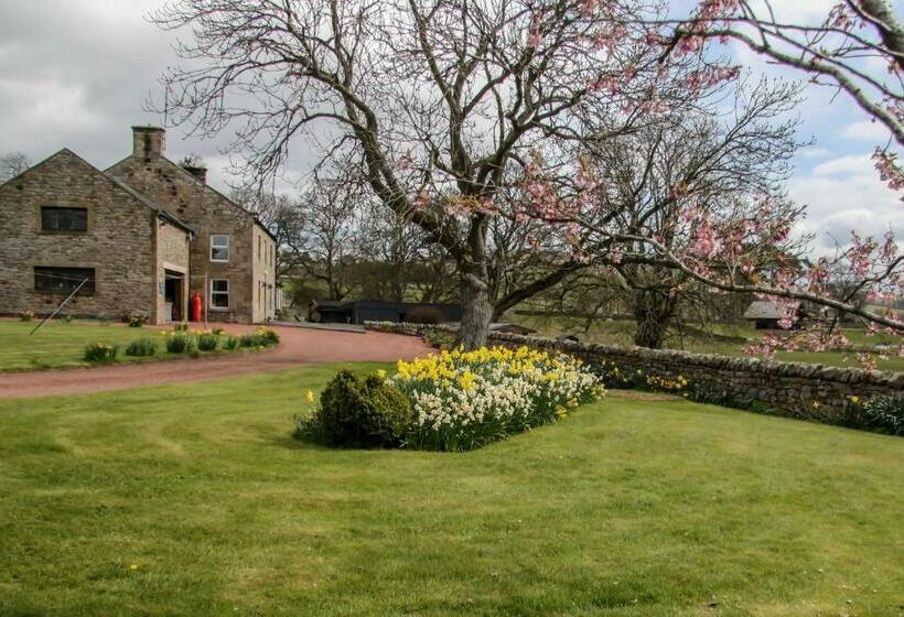 标准间, Yellow House