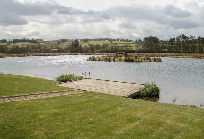 标准间, Yellow House