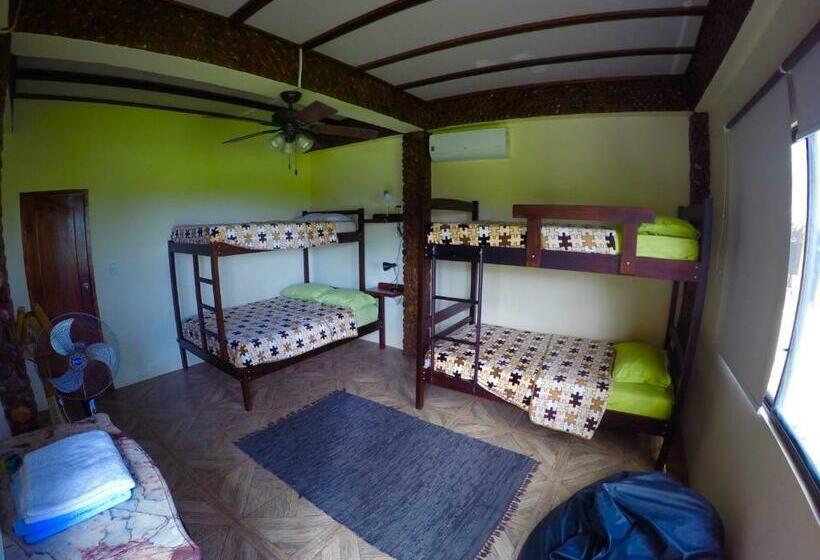 اتاق استاندارد چهار تخته, Casa Roja Hostel