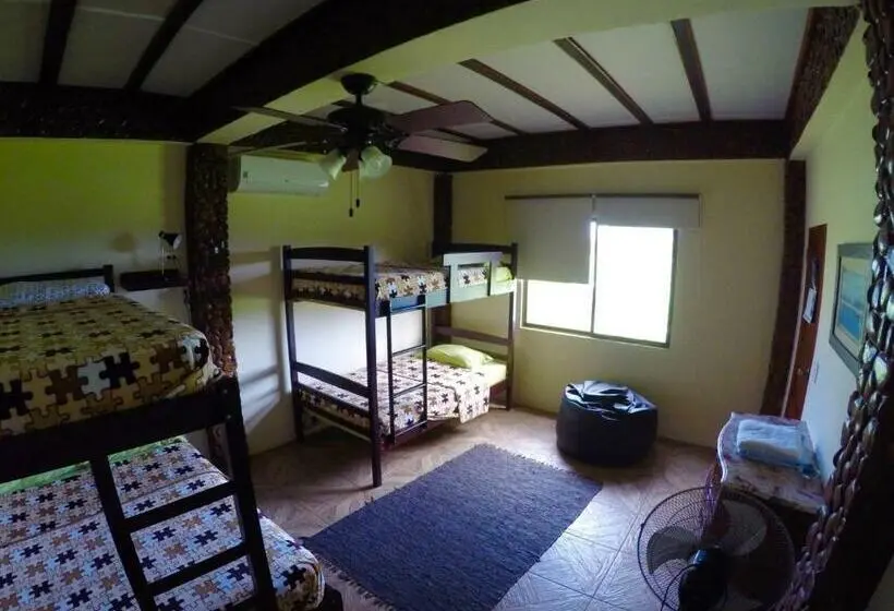 اتاق استاندارد چهار تخته, Casa Roja Hostel