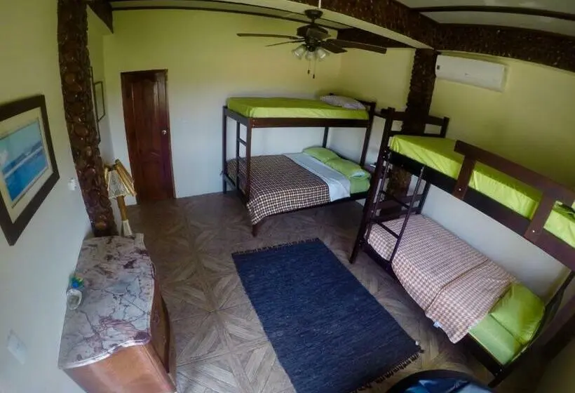 اتاق استاندارد چهار تخته, Casa Roja Hostel