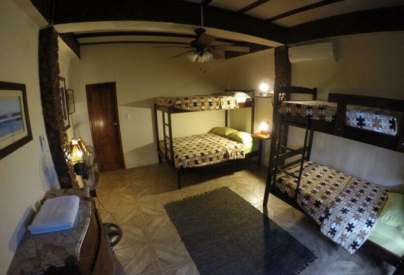 اتاق استاندارد چهار تخته, Casa Roja Hostel