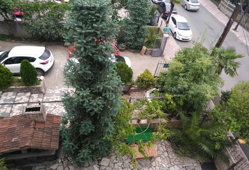 اتاق راحتی, Amigo I