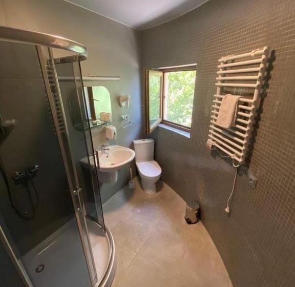 اتاق استاندارد, Dzveli Ubani