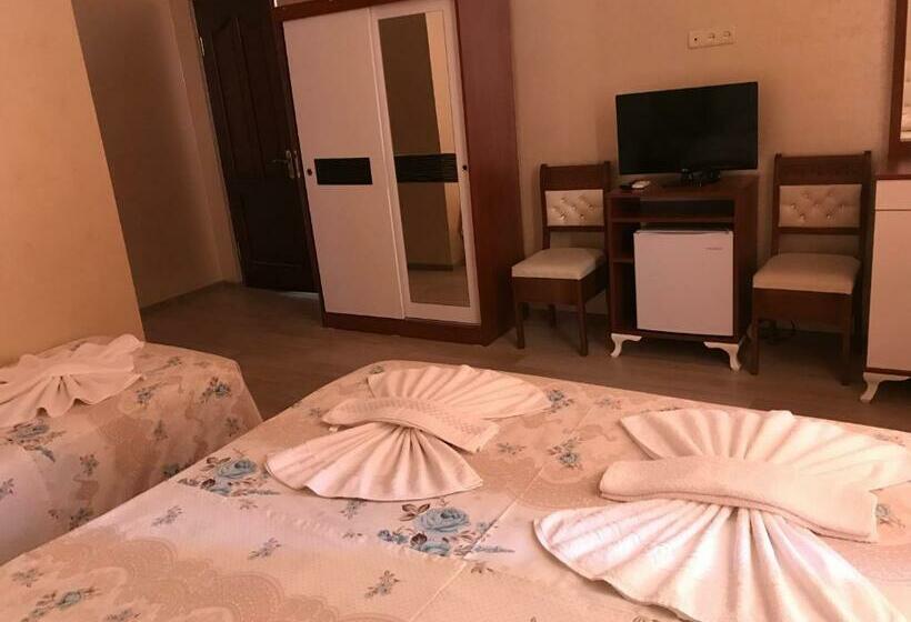 اتاق استاندارد سه نفره, Eurasia